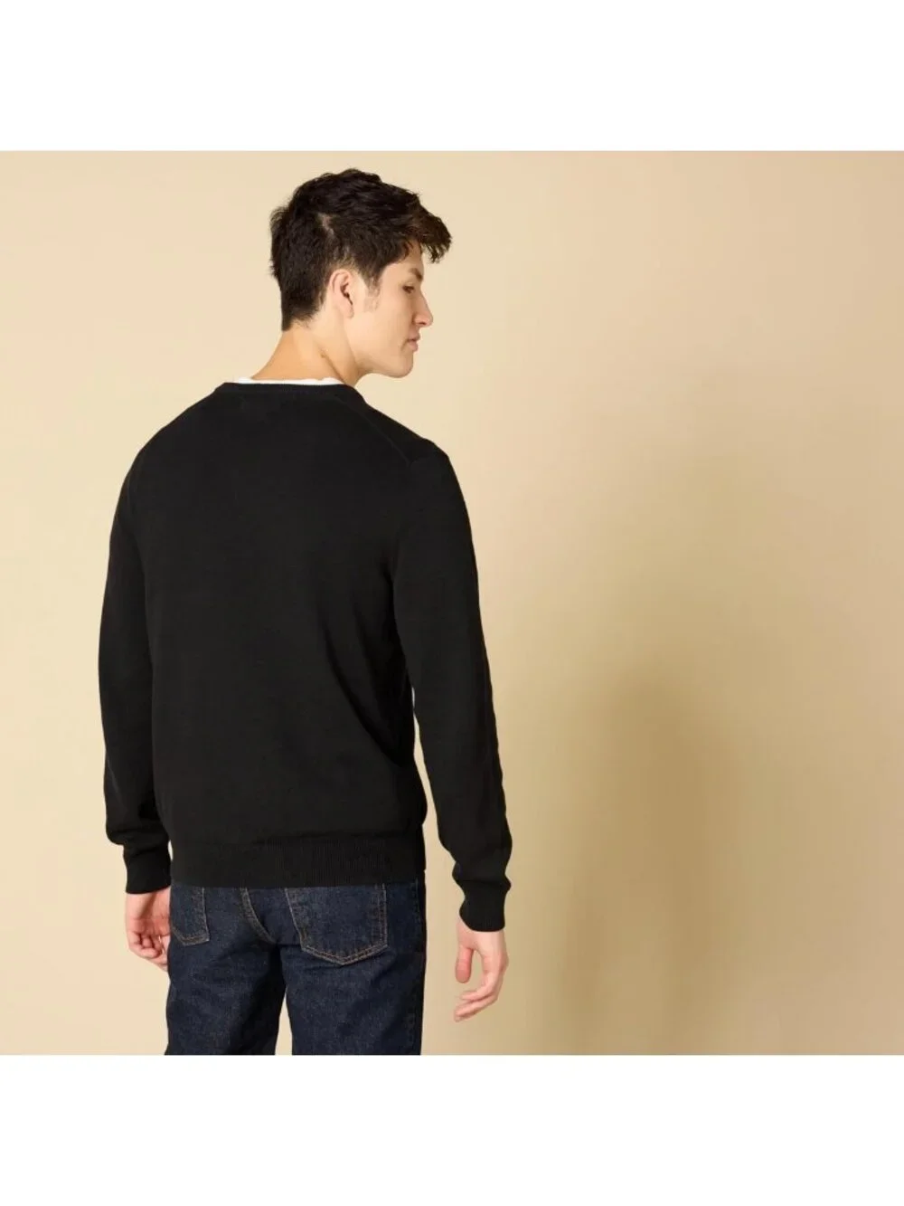 Cozy Men's Regular Fit Cotton V-Neck Pullover Sweater - Big & Tall Options